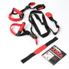 Lifeline Jungle Gym XT