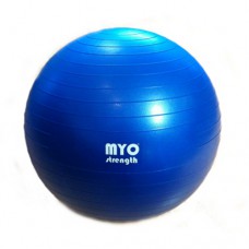 Myo 55cm Fit Ball - Blue
