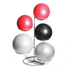 Pro Fit Balls (Anti-burst) - 5 x Pro Fit Balls and rack 