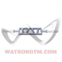 Watson Gym Equipment Poliquin Angled Dual Grip Bar