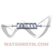 Watson Gym Equipment Parallel Poliquin Dual Grip Bar
