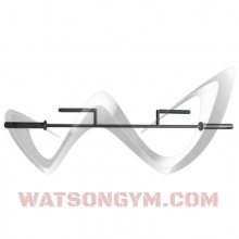 Watson Gym Equipment Row Bar